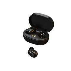 Langattomat kuulokkeet Blogfish TM-63-A 13MM 25h Type-C Bluetooth5.3 IPX5 hinta ja tiedot | Kuulokkeet | hobbyhall.fi