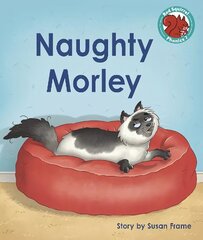 Naughty Morley hinta ja tiedot | Nuortenkirjat | hobbyhall.fi