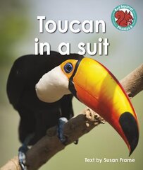 Toucan in a suit hinta ja tiedot | Nuortenkirjat | hobbyhall.fi