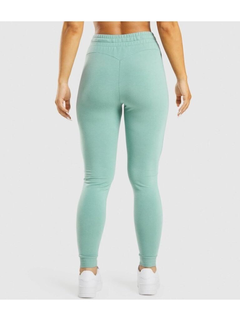 Naisten urheiluhousut Gymshark B24l 170453345617738041, vihreä hinta ja tiedot | Naisten urheiluvaatteet | hobbyhall.fi