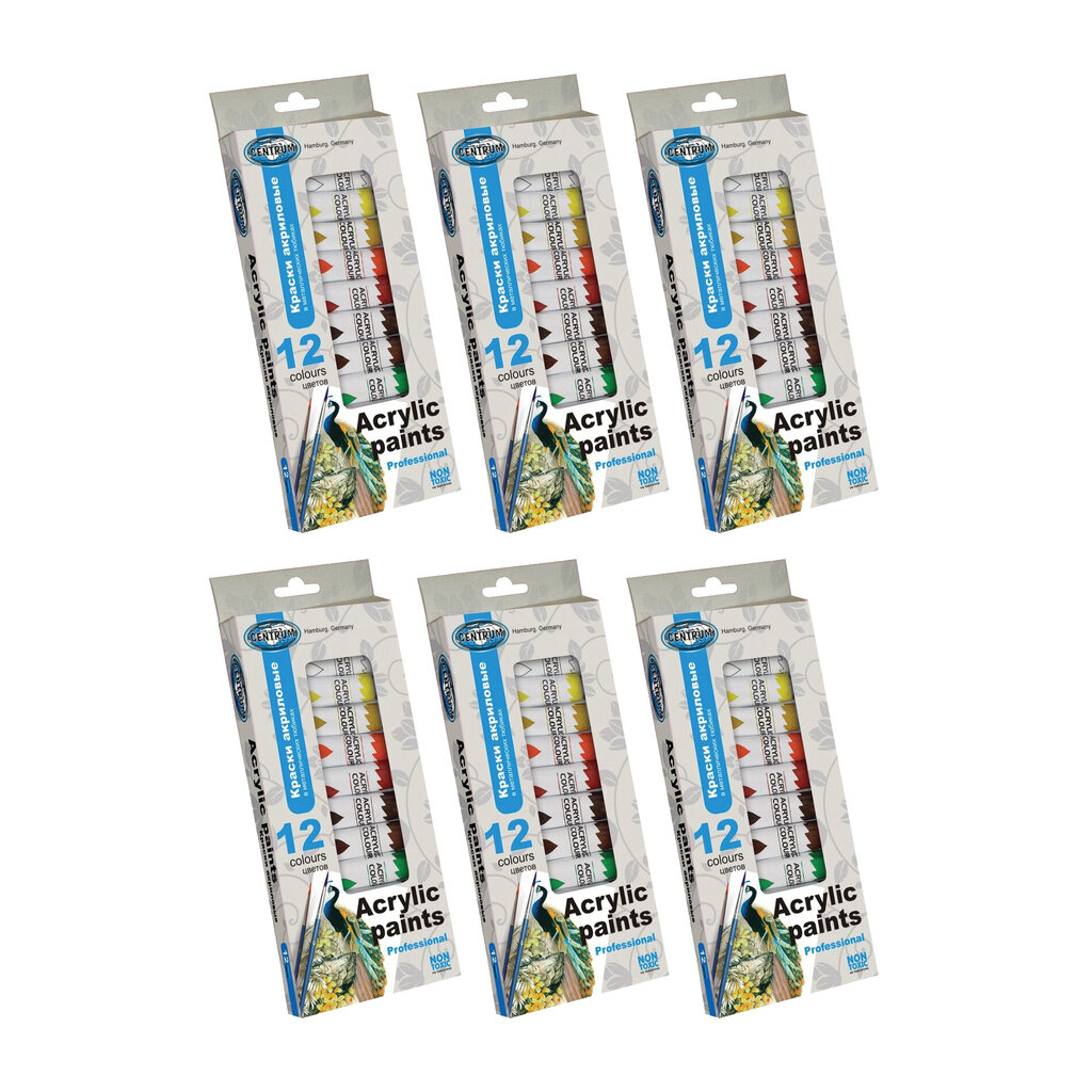 Akryylivärit 12 väriä, 12 ml (tuubit), Electronics LV-120319, monivärinen, 6 kpl hinta ja tiedot | Toimistotarvikkeet | hobbyhall.fi