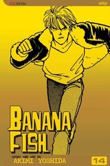 Banana Fish, Vol. 14 hinta ja tiedot | Fantasia- ja scifi-kirjallisuus | hobbyhall.fi