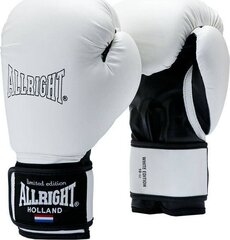 Nyrkkeilyhanskat ALLRIGHT 8oz, valkoiset hinta ja tiedot | Kamppailulajit | hobbyhall.fi