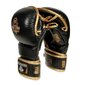 Käsineet MMA nahkaa ARM-2011d L hinta ja tiedot | Kamppailulajit | hobbyhall.fi