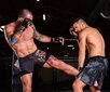 Käsineet MMA nahkaa ARM-2011d L hinta ja tiedot | Kamppailulajit | hobbyhall.fi