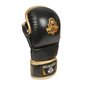 Käsineet MMA nahkaa ARM-2011d L hinta ja tiedot | Kamppailulajit | hobbyhall.fi