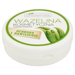 Kosmeettinen vaseliini Bielenda 25 ml hinta ja tiedot | Huulipunat, huulikiillot ja huulirasvat | hobbyhall.fi