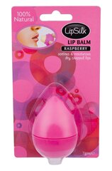 Xpel LipSilk Raspberry huulibalsami 7 g hinta ja tiedot | Huulipunat, huulikiillot ja huulirasvat | hobbyhall.fi