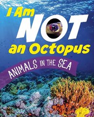 I Am Not an Octopus: Animals in the Ocean hinta ja tiedot | Nuortenkirjat | hobbyhall.fi