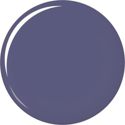 Rimmel London Stay Matte huulipuna 5,5 ml, 830 Blue Iris hinta ja tiedot | Huulipunat, huulikiillot ja huulirasvat | hobbyhall.fi