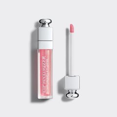 Dior Addict Lip Maximizer -huulikiilto, 6 ml, 010 Holopink hinta ja tiedot | Huulipunat, huulikiillot ja huulirasvat | hobbyhall.fi