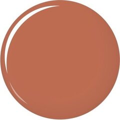 Shiseido VisionAiry huulipuna 1 g, 201 Cyber Beige hinta ja tiedot | Huulipunat, huulikiillot ja huulirasvat | hobbyhall.fi