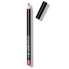 Affect Shape & Colour Lipliner Pencil huultenrajauskynä 1.2 g, Wild Rose hinta ja tiedot | Affect Hajuvedet ja kosmetiikka | hobbyhall.fi