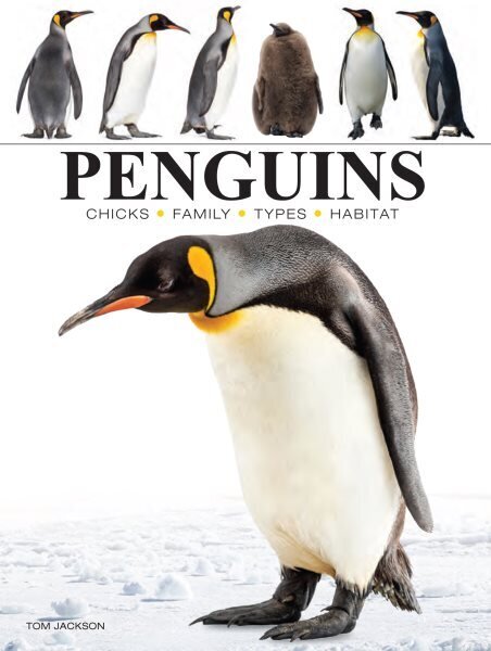 Penguins hinta ja tiedot | Valokuvakirjat | hobbyhall.fi