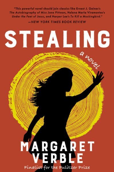 Stealing: A Novel hinta ja tiedot | Fantasia- ja scifi-kirjallisuus | hobbyhall.fi