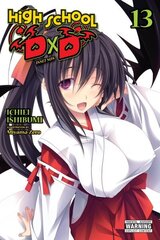 High School DxD, Vol. 13 (light novel) hinta ja tiedot | Fantasia- ja scifi-kirjallisuus | hobbyhall.fi