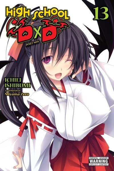 High School DxD, Vol. 13 (light novel) hinta ja tiedot | Fantasia- ja scifi-kirjallisuus | hobbyhall.fi