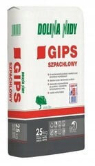 Dolina Nidy Gipsy szpachlowy szary 25kg hinta ja tiedot | Laastit ja kitit | hobbyhall.fi