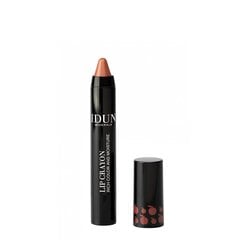 HUULIPUNA-HUULTENRAJAUSKYNÄ IDUN LIP CRAYON ANNI-FRID 2,5 G hinta ja tiedot | Idun Minerals Meikit | hobbyhall.fi