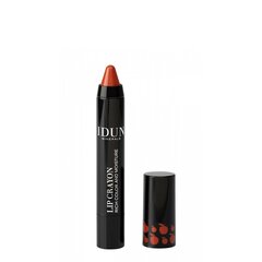 HUULIPUNA-HUULTENRAJAUSKYNÄ IDUN LIP CRAYON BARBRO 2,5 G hinta ja tiedot | Idun Minerals Meikit | hobbyhall.fi