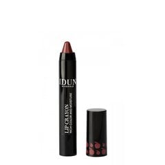 HUULIPUNA-HUULTENRAJAUSKYNÄ IDUN LIP CRAYON JENNY 2,5 G hinta ja tiedot | Huulipunat, huulikiillot ja huulirasvat | hobbyhall.fi