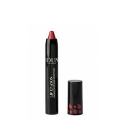 HUULIPUNA-HUULTENRAJAUSKYNÄ IDUN LIP CRAYON MONICA 2,5 G hinta ja tiedot | Idun Minerals Meikit | hobbyhall.fi