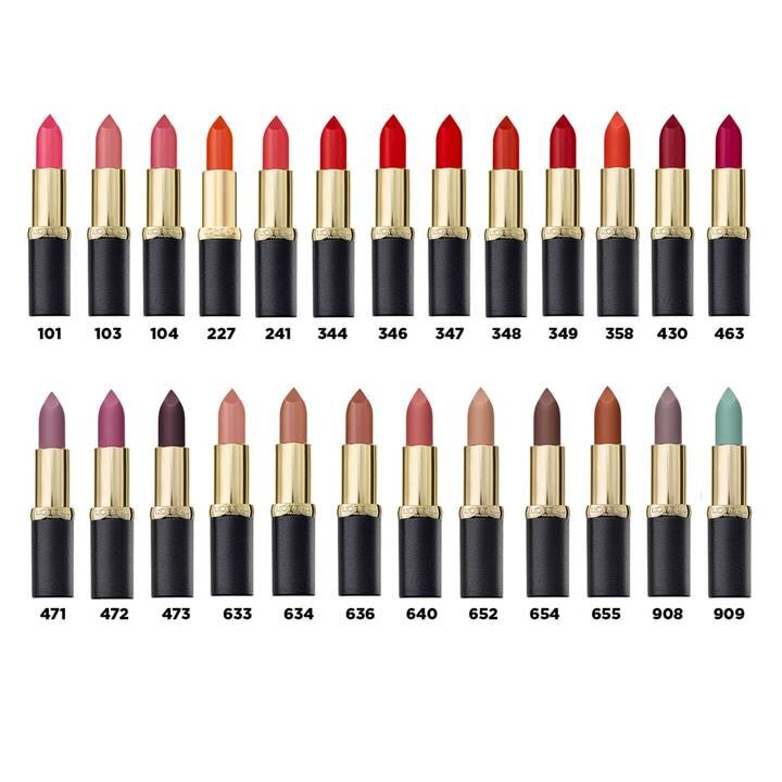 Pitkäkestoinen huulipuna L'Oreal Paris Color Riche Matte, 634 Greige perfecto, 4,8 g hinta ja tiedot | Huulipunat, huulikiillot ja huulirasvat | hobbyhall.fi