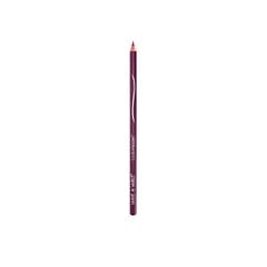 Wet N Wild Color Icon Lip Liner E664C Fab Fuksia hinta ja tiedot | Huulipunat, huulikiillot ja huulirasvat | hobbyhall.fi