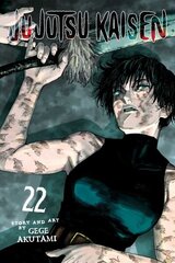 Jujutsu Kaisen, Vol. 22 hinta ja tiedot | Fantasia- ja scifi-kirjallisuus | hobbyhall.fi