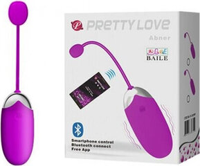 Lybaile Vibrating Remote Egg hinta ja tiedot | Vibraattorit | hobbyhall.fi