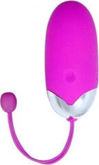 Lybaile Vibrating Remote Egg hinta ja tiedot | Vibraattorit | hobbyhall.fi