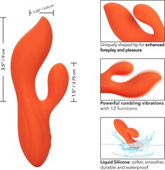 Vibraattori Stella Dual Teaser, oranssi hinta ja tiedot | Vibraattorit | hobbyhall.fi