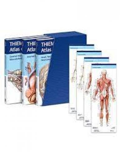 THIEME Atlas of Anatomy, Latin Nomenclature, Three Volume Set, Third Edition 3rd edition hinta ja tiedot | Lasten tietokirjat | hobbyhall.fi