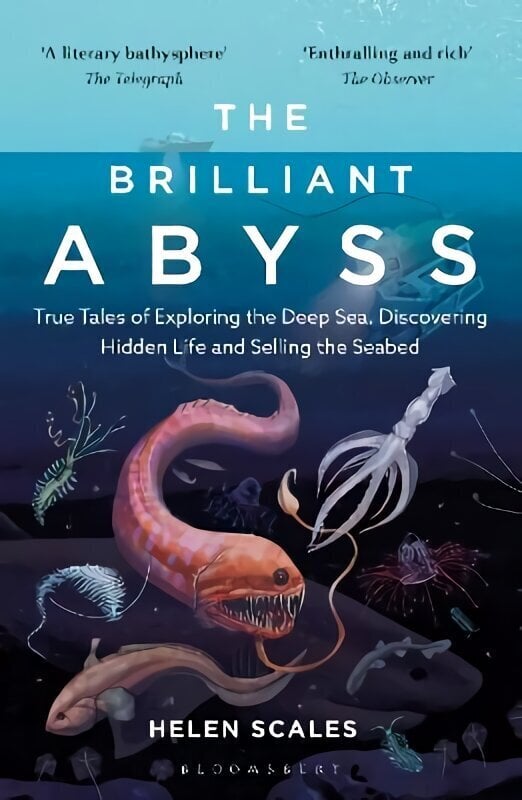 Brilliant Abyss: True Tales of Exploring the Deep Sea, Discovering Hidden Life and Selling the Seabed hinta ja tiedot | Lasten tietokirjat | hobbyhall.fi