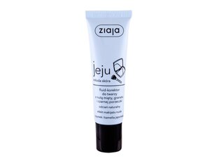 Ziaja Jeju peitekynä 30 ml, Natural hinta ja tiedot | Meikkivoiteet ja puuterit | hobbyhall.fi