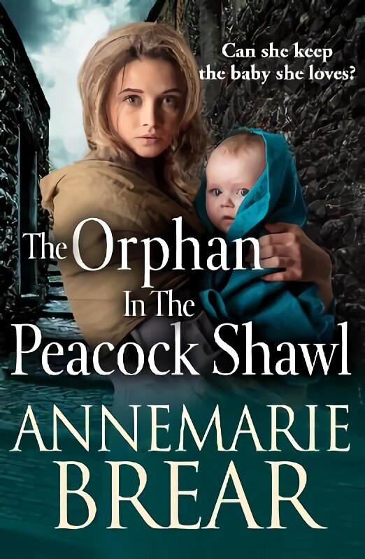 Orphan in the Peacock Shawl: A gripping historical novel from AnneMarie Brear hinta ja tiedot | Fantasia- ja scifi-kirjallisuus | hobbyhall.fi