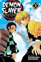 Demon Slayer: Kimetsu no Yaiba, Vol. 3 hinta ja tiedot | Romaanit | hobbyhall.fi