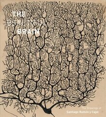 Beautiful Brain: The Drawings of Santiago Ramon y Cajal hinta ja tiedot | Taidekirjat | hobbyhall.fi