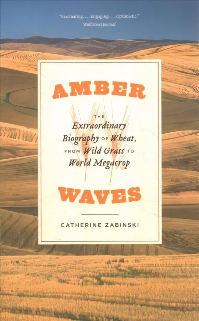 Amber Waves: The Extraordinary Biography of Wheat, from Wild Grass to World Megacrop hinta ja tiedot | Talouskirjat | hobbyhall.fi