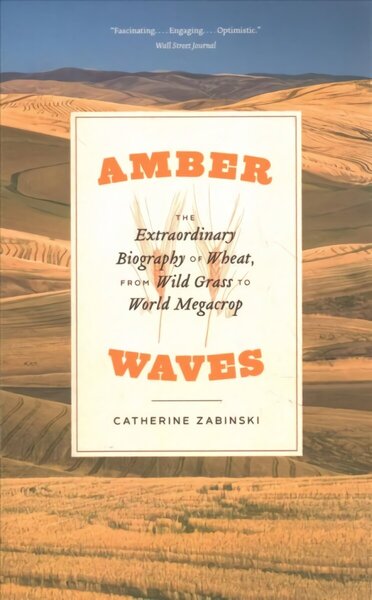 Amber Waves: The Extraordinary Biography of Wheat, from Wild Grass to World Megacrop