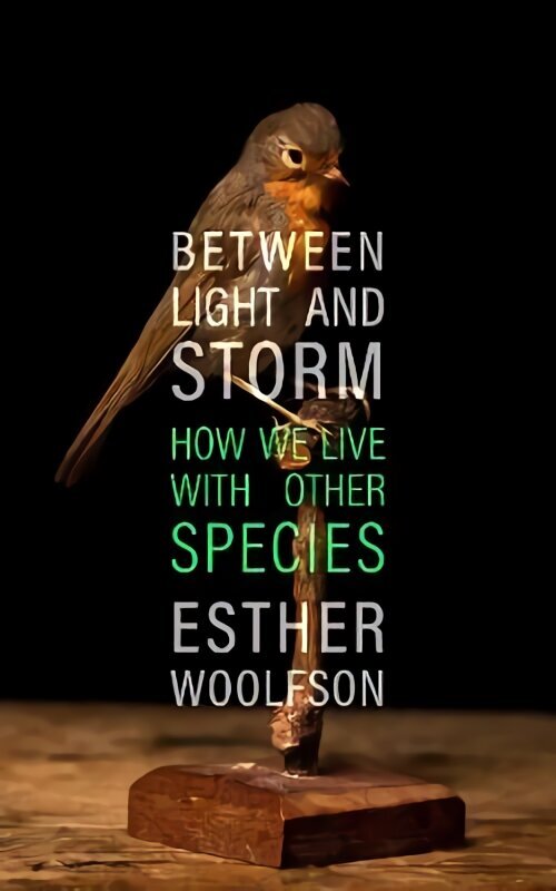 Between Light and Storm: How We Live With Other Species hinta ja tiedot | Yhteiskunnalliset kirjat | hobbyhall.fi