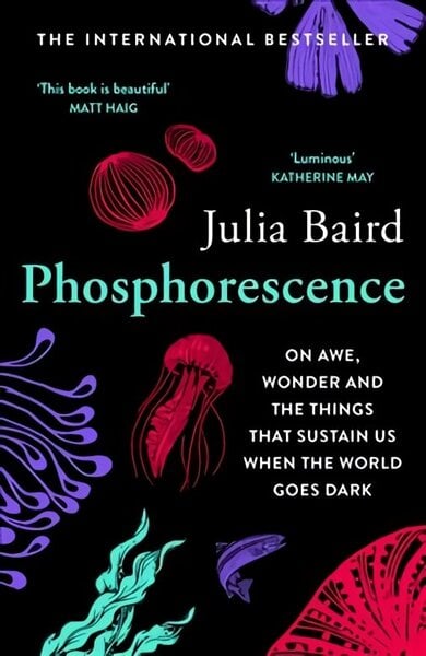 Phosphorescence: On Awe, Wonder & Things That Sustain You When the World Goes Dark