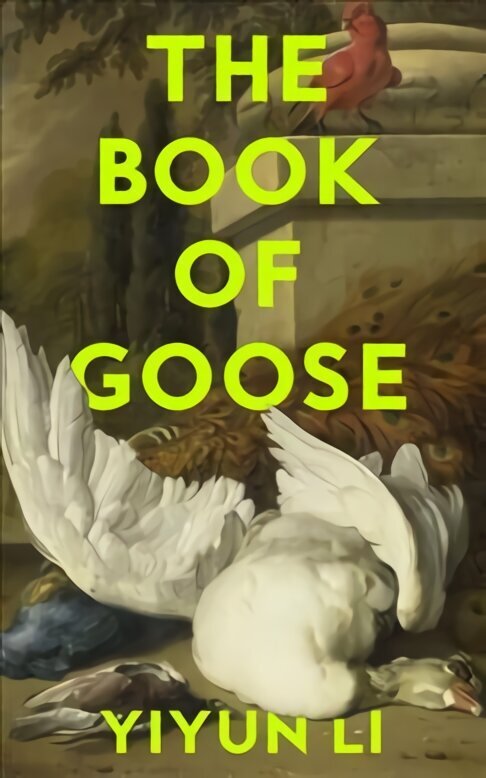 Book of Goose hinta ja tiedot | Fantasia- ja scifi-kirjallisuus | hobbyhall.fi