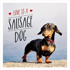 Love is a Sausage Dog: A Pup-Tastic Celebration of Dachshunds - The World's Cutest Dogs hinta ja tiedot | Tietosanakirjat ja hakuteokset | hobbyhall.fi