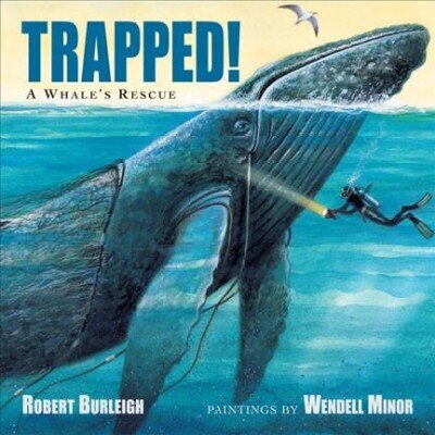 Trapped!: A Whale's Rescue hinta ja tiedot | Nuortenkirjat | hobbyhall.fi