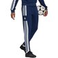 Miesten urheiluhousut Adidas Squadra 21 Sweat Pant M GT6643, sininen hinta ja tiedot | Miesten urheiluvaatteet | hobbyhall.fi