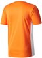 Miesten T-paita Adidas Entrada 18 JSY CD8366, oranssi. hinta ja tiedot | Miesten T-paidat | hobbyhall.fi