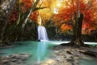 fototapets - Deep forest waterfall hinta ja tiedot | Valokuvatapetit | hobbyhall.fi