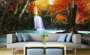 fototapets - Deep forest waterfall hinta ja tiedot | Valokuvatapetit | hobbyhall.fi