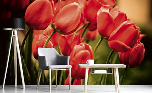 Fototapets - Red tulips hinta ja tiedot | Valokuvatapetit | hobbyhall.fi